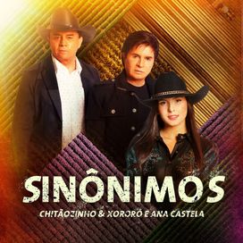 Sinônimos (part. Chitãozinho &amp; Xororó) - 2023 • Single/EP