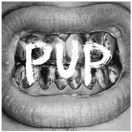 PUP - 2014 • Álbum