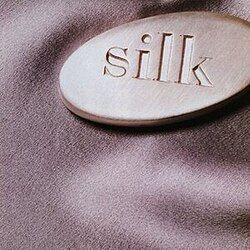 Silk (1995)  - 1995 • Álbum