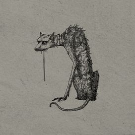 Dog's Dinner - 2025 • Single/EP