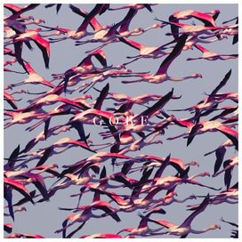 Gore - 2016 • Álbum