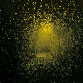 Burst Apart - 2011 • Álbum