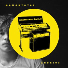 Kibernetiniai žAislai - 2017 • Álbum
