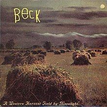 A Western Harvest Field by Moonlight - 1994 • Álbum
