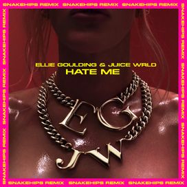 Hate Me (Snakehips Remix) - 2019 • Single/EP