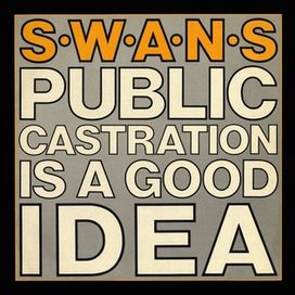 Public Castration Is a Good Idea (Live) - 1986 • Álbum