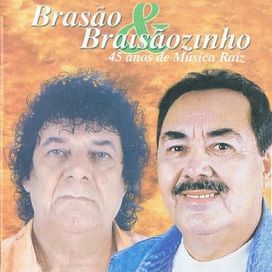 45 Anos de Música Raiz - Álbum