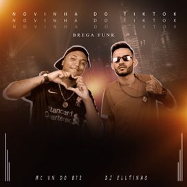 Novinha do TikTok (Brega Funk) - 2021 • Sencillo/EP
