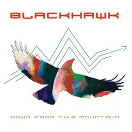 Down From The Mountain - 2011 • Álbum
