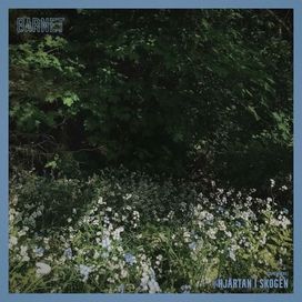 Hjärtan I Skogen (Somewhere) - 2025 • Single/EP