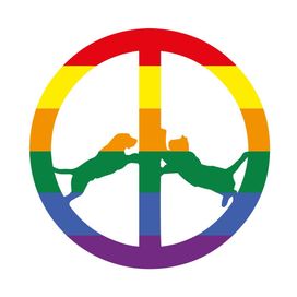 Rainbow Edition - 2017 • Álbum