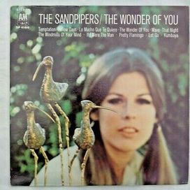 The Wonder Of You - 1969 • Álbum