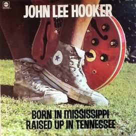 Born In Mississippi, Raised Up In Tennessee - 1973 • Álbum