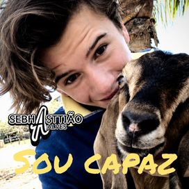 Sou Capaz - 2014 • Álbum