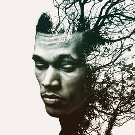 Rise - 2014 • Álbum