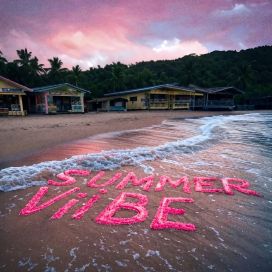 SUMMER ViiBE - 2025 • Sencillo/EP