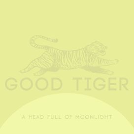 A Head Full Of Moonlight - 2015 • Álbum