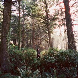 Seed of a Seed - 2024 • Sencillo/EP