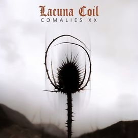Comalies XX - 2022 • Álbum