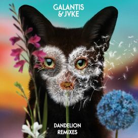 Dandelion (Remixes) - 2021 • Sencillo/EP