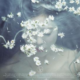 Like a Flower - 2024 • Álbum