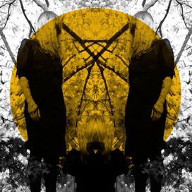 Feel it Break - 2011 • Álbum