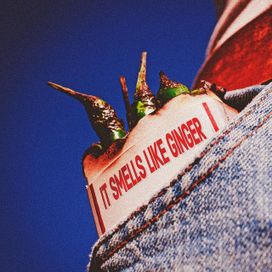 It Smells Like Ginger - 2025 • Álbum