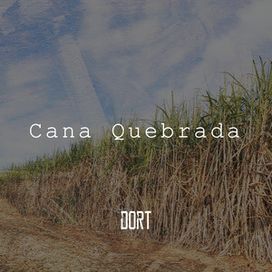 Cana Quebrada - 2020 • Sencillo/EP