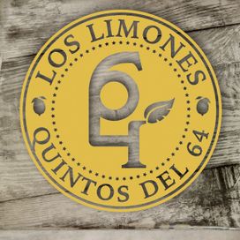 Quintos Del 64 - 2015 • Álbum