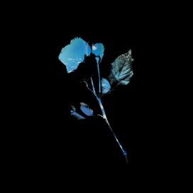 Dreaming the Dark - 2019 • Álbum