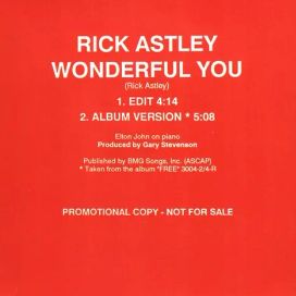 Wonderful You - 1991 • Sencillo/EP