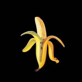 Welcome To The Monkey House - 2003 • Álbum
