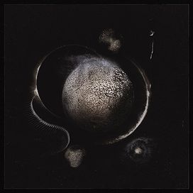 Cold Black Suns - 2019 • Álbum
