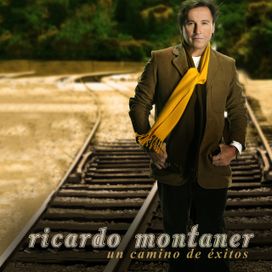 Un Camino de Éxitos - 2008 • Álbum