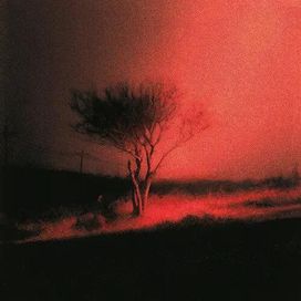 Piss In The Wind - 2026 • Álbum