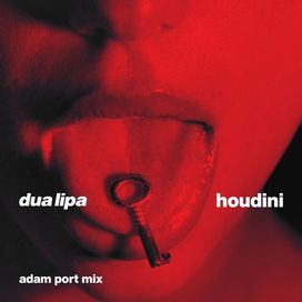 Houdini (Adam Port Mix) - 2023 • Single/EP