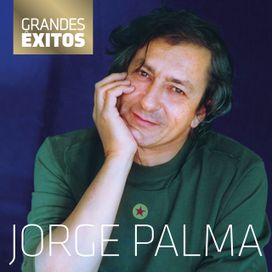 Grandes Êxitos - 2013 • Álbum