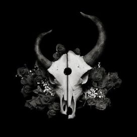 Summer of Darkness - 2004 • Álbum