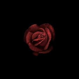 Sonetos À Vênus - 2018 • Álbum