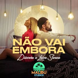 Não Vai Embora (part. Dilsinho) - 2020 • Single/EP