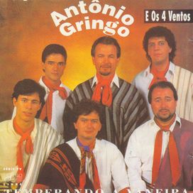 Temperando a Vaneira - 1995 • Álbum