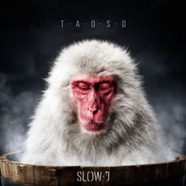 The Art of Slowing Down - 2017 • Álbum