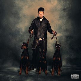 Cachorro Sincero - 2025 • Álbum