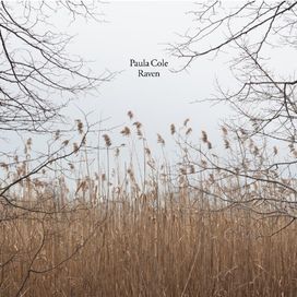 Raven - 2013 • Álbum
