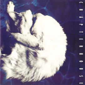 Whirlpool - 1991 • Álbum