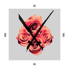Nina - 2013 • Álbum