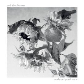 Mother-Of-Pearl Moon - 2024 • Álbum