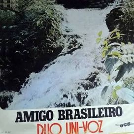 Amigo Brasileiro - 1980 • Álbum