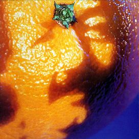A Picture Of Néctar - 1992 • Álbum