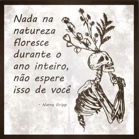 Nada Na Natureza Floresce Durante o Ano Inteiro, Não Espere Isso de Você (part. TheJoia e prxdby4le) - 2025 • Single/EP
